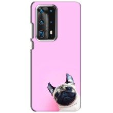 Чохли з собаками для Huawei P40 (VPrint) (Смішна собака)