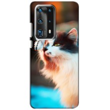 Чехол на Хуавей П40 с Котами (VPrint) (Котик с бабочкой)