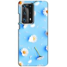 Чехол с Цветами для Huawei P40 (ромашки на голубом)