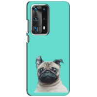 Бампер для Huawei P40 з картинкою "Песики" – Собака Мопсік