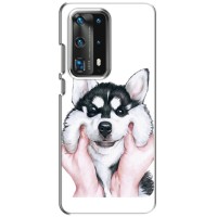Бампер для Huawei P40 с картинкой "Песики" – Собака Хаски
