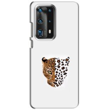 Чохол з леопардовим принтом на Huawei P40 (Леопард на білому)