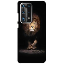 Чехол со Львом для Huawei P40 (VPrint) (Лев)