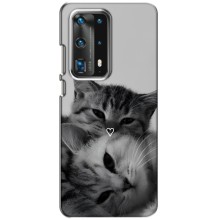 Чехол с рисунком кот на Huawei P40 (Пара котов)