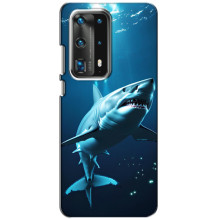 Чохол з картинкою 'Хижаки' для Huawei P40 – Акула
