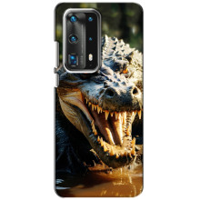 Чохол з картинкою 'Хижаки' для Huawei P40 – Крокодил