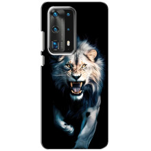Чохол з картинкою 'Хижаки' для Huawei P40 – Лев