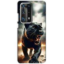 Чохол з картинкою 'Хижаки' для Huawei P40 – Пантера