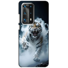 Чохол з картинкою 'Хижаки' для Huawei P40 – Тигр