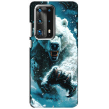 Чохол з картинкою 'Хижаки' для Huawei P40 – Ведмідь