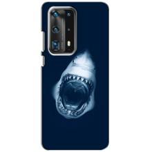 Силиконовый бампер с картинкой животных для Huawei P40 (Пасть Акулы)