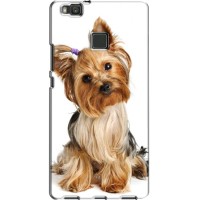 Чехол (ТПУ) Милые собачки для Huawei P9 Lite – Собака Терьер