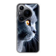 Чехлы с Котиками для Huawei Pura 70 PRO (VPrint)
