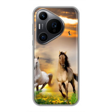 Чехлы с Лошадью дляHuawei Pura 70 PRO (VPrint) (Лошадки)