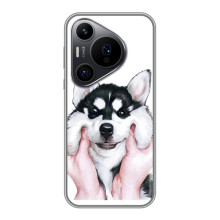 Чохли з собаками для Huawei Pura 70 PRO (VPrint) (Радісний Хаскі)