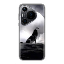 Чехол с Волком на Huawei Pura 70 PRO – Волк и луна