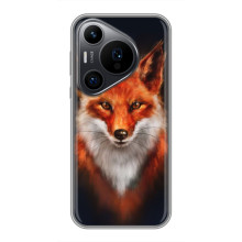 Чохол з принтом лисички Huawei Пура 70 ПРО – Лисиця на чорному