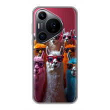 Чохол з принтом стильні тварини для Хуавеї Пюра 70 ПРО (Лами в окулярах)