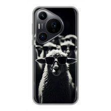 Чохол з принтом стильні тварини для Хуавеї Пюра 70 ПРО (Овечка в окулярах)