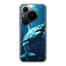 Чехол с картинкой «Хищники» для Huawei Pura 70 PRO – Акула