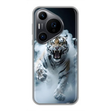 Чехол с картинкой «Хищники» для Huawei Pura 70 PRO – Тигр