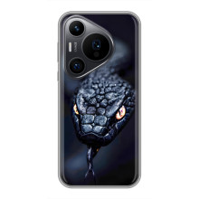 Чехол с картинкой «Хищники» для Huawei Pura 70 PRO – Змея
