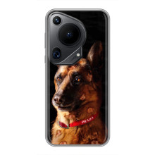 Чохли з картинкою животних Huawei Pura 70 Ultra (Овчарка)