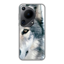 Чохли з картинкою животних Huawei Pura 70 Ultra (Вовк)