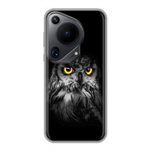 Чехлы с принтом СОВЫ для Huawei Pura 70 Ultra – Сова на чёрном