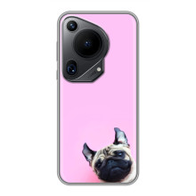 Чехлы с собаками для Huawei Pura 70 Ultra (VPrint) (Смешная собака)