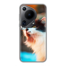 Чохол на Huавеі Пура 70 з Котиками (VPrint) (Котик з метеликом)