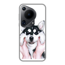 Бампер для Huawei Pura 70 Ultra с картинкой "Песики" (Собака Хаски)