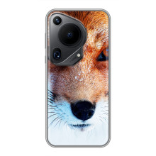 Чехол с Лисичкой для Huawei Pura 70 Ultra