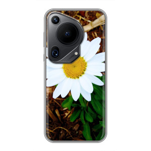 Чехол с ромашками на Huawei Pura 70 Ultra – Белая ромашка