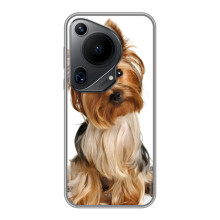 Чехол (ТПУ) Милые собачки для Huawei Pura 70 Ultra
