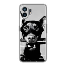 Чехол ДОБЕРМАН для Huawei Pura 70 (Опасный доберман)