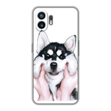 Бампер для Huawei Pura 70 с картинкой "Песики" – Собака Хаски