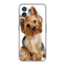 Чехол (ТПУ) Милые собачки для Huawei Pura 70 (Собака Терьер)