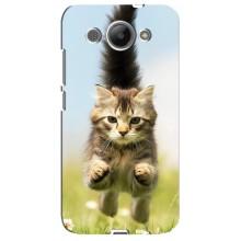 Чохли з Котиками для Huawei Y3 2017 (VPrint) (Прижок кота)