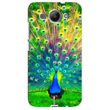 Чехол с птицами на Huawei Y3 2017 (VPrint) (Яркий Павлин)