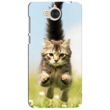 Чохли з Котиками для Huawei Y5-2017, MYA (VPrint) (Прижок кота)