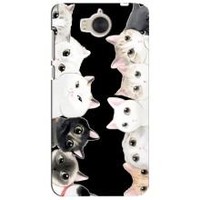 Чохол на Хуавей У5 2017 з Котиками (VPrint) (Погляд котиків)