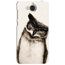 Чехол с птицами на Huawei Y5-2017, MYA (VPrint) (Сова)