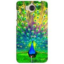 Чехол с птицами на Huawei Y5-2017, MYA (VPrint) (Яркий Павлин)