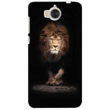 Чехол со Львом для Huawei Y5-2017, MYA (VPrint) (Лев)