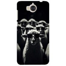 Чехол с принтом стильные животные для Хуавей У5 2017 (Овечка в очках)