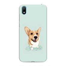 Чехлы с собаками для Huawei Y5 2019 (VPrint) (Корги)