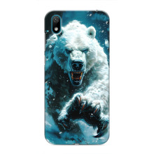 Чохол з картинкою 'Хижаки' для Huawei Y5 2019 – Ведмідь