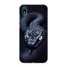 Чохол з картинкою 'Хижаки' для Huawei Y5 2019 – Змія