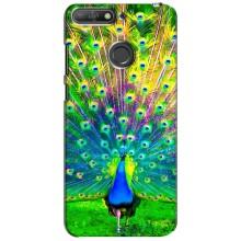 Чохол з пташками на Huawei Y6 Prime 2018 (VPrint) (Яскравий Павлин)